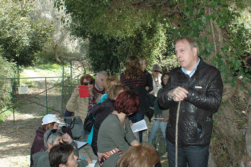 Eleftherna Museum 5368